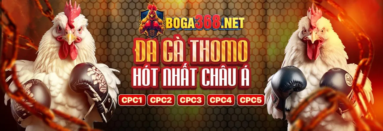 Các giống gà và đặc điểm sinh học tại đá gà 88.com