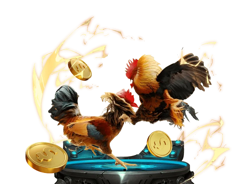 Giới thiệu hồ sơ gà đá ngôi sao trên đá gà 88.com